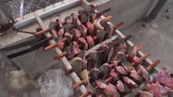 Passing on Tradition: Teaching High School Students the Art of Smoking Salmon Instructional Video