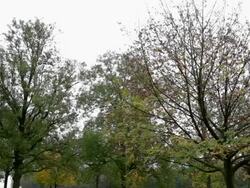 SHADOWS OF WAR: Jewish graves at Fricourt German Military Cemetery Stock Footage