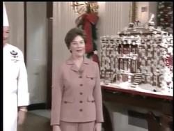 A doctor explains to The Associated Press first lady Laura Bush's type of skin cancer. News Clip