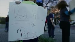 Conservation charity aims to licence black rhino hunting News Clip