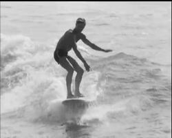 SUMMER SCENE - SURF AND SNOW News Clip