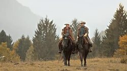 DS  Cowboy and cowgirl holding hands while riding their horses Stock Footage