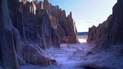 Light rays and fog in Redwood forest Stock Footage