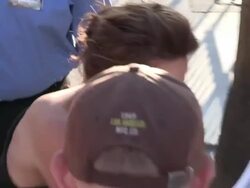 Lili Taylor greets fans at The Conjuring Premiere Stock Footage