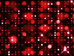 Glitter Spots Red Background Loop Stock Footage