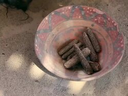 MS Shot of skull and other substance / South Of Peru, Nazca, Peru Stock Footage