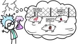 Should We Grow Human Organs In Pigs? Instructional Video