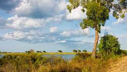 Sardinian Landscape Stock Footage
