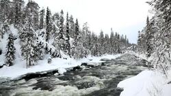 Fast flowing river winter snow Juuma Oulanka Nat Pk Kuusamo, Finland Stock Footage