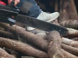 Cutting the Tree Stock Footage