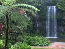 NTSC: Waterfall in the jungle Stock Footage
