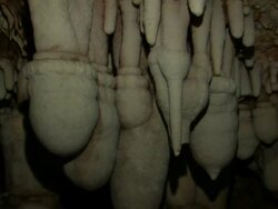 Limestone Stalactite Cave, Soreq cave, Avshalom Reserve, near Beit Shemesh, Israel Stock Footage