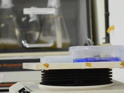 Test tubes in a shaker Stock Footage