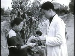 MOT 1948: REPUBLIC OF CHINA: VS People in line for animal treatment, male scientist, veterinarian injecting Newcastle vaccine into domestic chicken, female holding bird for immunization, VS Children waiting turn w/ chickens, roosters. Instructional Video