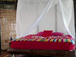 Double bed in beach hut with mosquito net blowing in wind Stock Footage