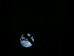 WA Full moon rising from behind trees, time lapse Stock Footage