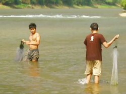 MS SLO MO Shot of two men pulling out fishing nets from water / Ou river, Luang Prabang, Laos Stock Footage