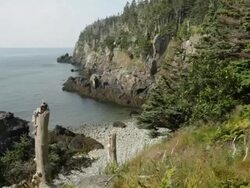 HD video Coastline cliffs Quoddy Head State Park Maine Stock Footage