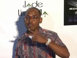 Quran at Chris Brown And Nick Cannon Host Party After BET Awards 2013 on 6/27/2013 in Los Angeles, CA. (Footage by WireImage Video/Getty Images Entertainment Video) Stock Footage