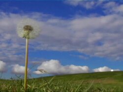 DANDI CLOUDS (DV) Stock Footage