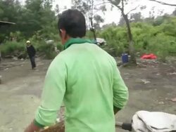 MS Miner dumping his basket on the truck and getting his payment / Ijen, Java, Indonesia Stock Footage