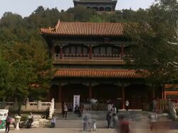 TIME LAPSE: 2015 Peony Festival attracts tourists Stock Footage