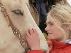 CU Girl chatting to horse and stroking it / Shell, Wyoming, United States Stock Footage
