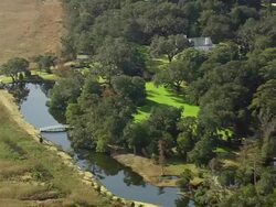 MS AERIAL Shot of Orton House surrounded by trees at Orton Plantation / North Carolina, United States Stock Footage
