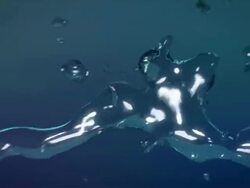 Water Splash Stock Footage