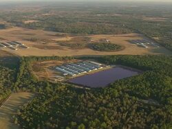 WS AERIAL ZI View of pink lagoons farm area / North Carolina, United States Stock Footage