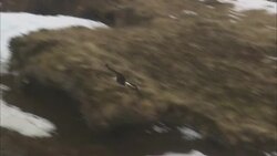 A bald eagle flies around Dutch Harbor and lands on a water tank. Stock Footage