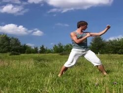 Martial arts Stock Footage