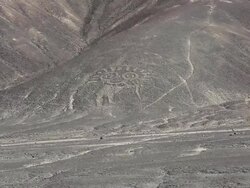 WS Shot of Nazca lines / South Of Peru, Nazca, Peru Stock Footage