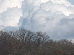 clouds over the spring woods Stock Footage