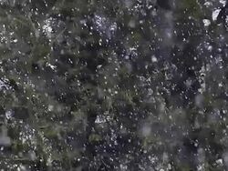 MS SLO MO Shot of falling snow in normandy / Calvados, Normandy, France Stock Footage