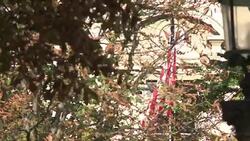 CLEAN : France demands answers over US spying News Clip