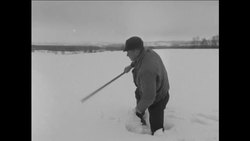 CAN766 SCENES FROM HEDMARK AS NORWEGIAN FARMERS MANURE FIELDS COVERED IN SNOW BY AEROPLANE Instructional Video