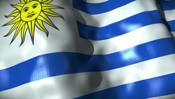 Uruguay Flag waving, looping Stock Footage