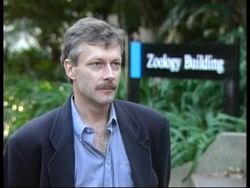 AUSTRALIA: DINGO UNDER THREAT News Clip