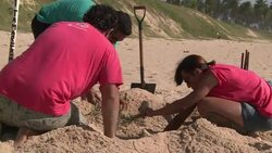 CLEAN : Brazil biologists help baby News Clip