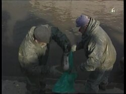 SERBIA: CYANIDE SPILL REACHES TISA RIVER News Clip