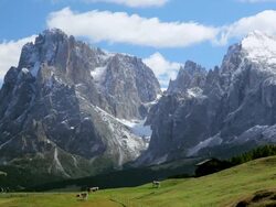 HA Cattle grazing in an alpine meadow as a group of hikers walk by in the distance / Italy Stock Footage