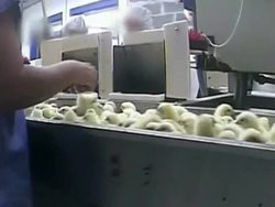 VOICED: Egg Hatchery killing practices revealed News Clip
