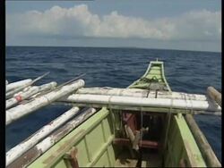 PHILIPPINES: PAMILACAN ISLAND: RESIDENTS HUNT WHALESHARKS News Clip