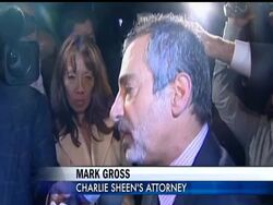 Los Angeles police say they have searched actor Charlie Sheen's home for guns that might be in violation of a temporary restraining order that was obtained last week by his estranged wife, Brooke Mueller. News Clip