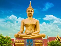 The large Buddha statues Stock Footage