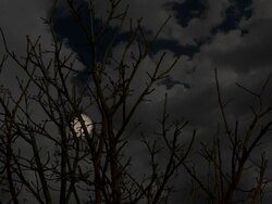 HD Super Moon Scape Stock Footage