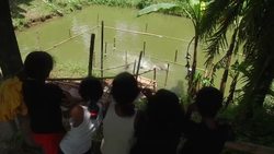 Swim class aims to stop major cause of death in Bangladesh News Clip