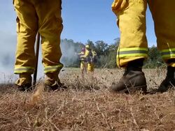 California Firefighters Undergo Training For Controlled Burns During Wildfires Stock Footage