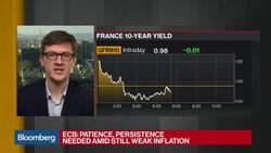 ECB Agreed It Was Premature to Adjust Forward Guidance News Clip